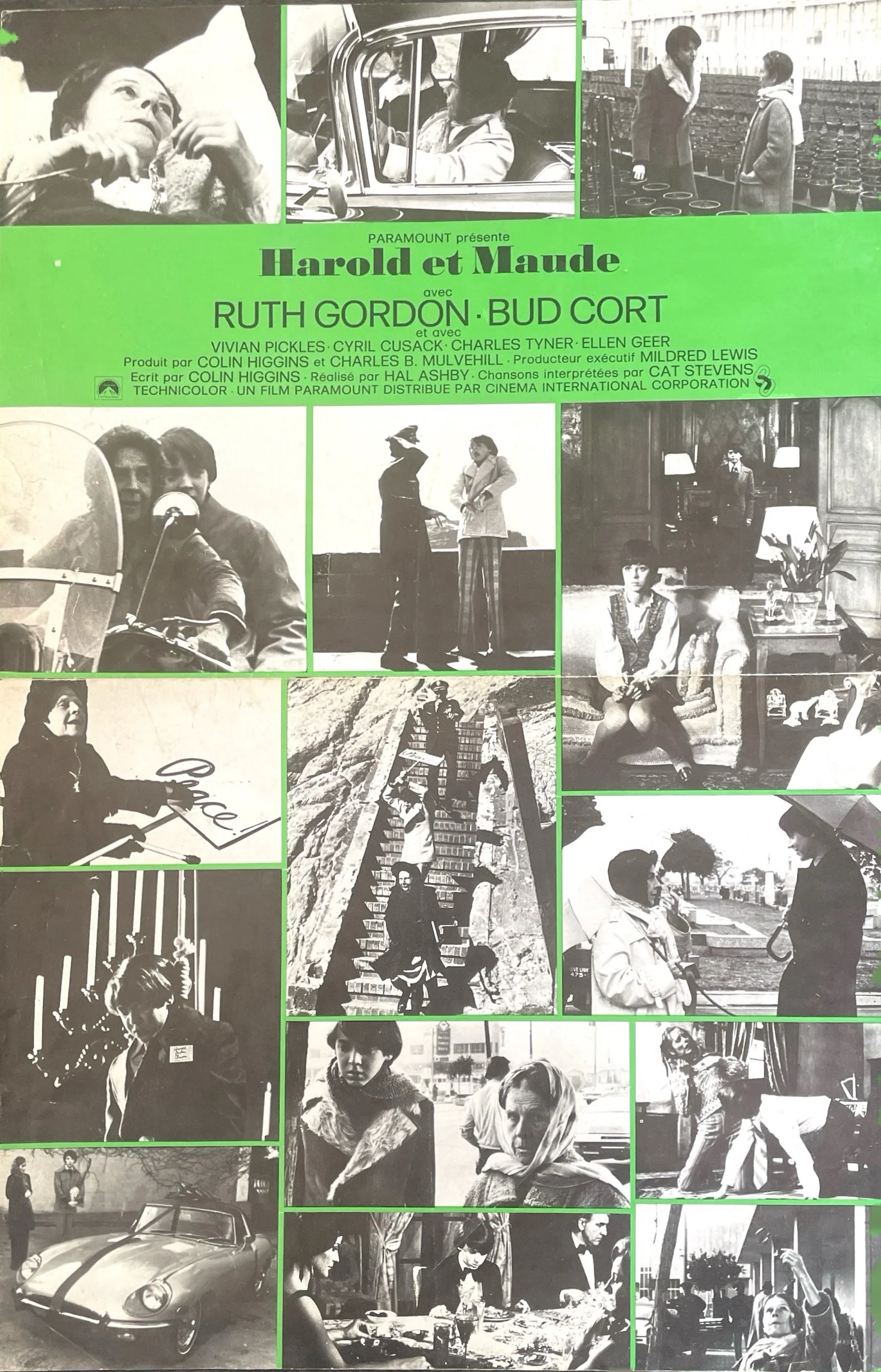 Harold and Maude - Image 2