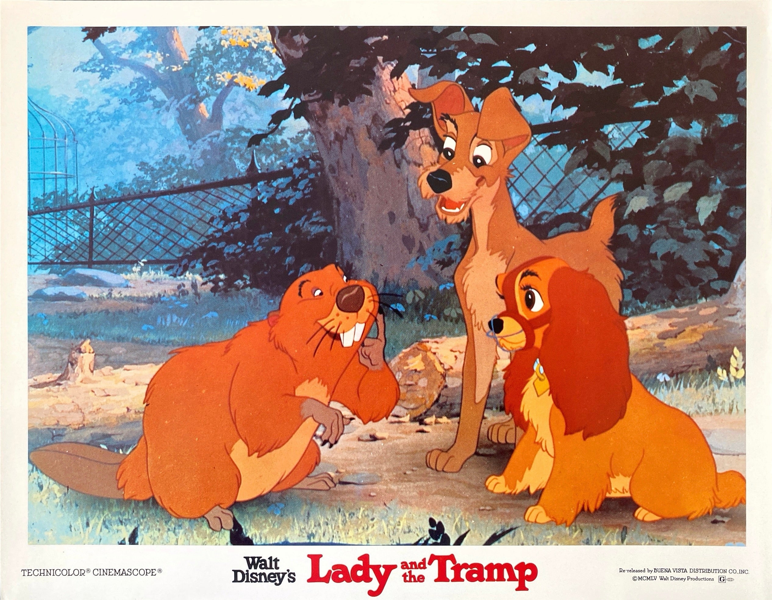 Lady and the Tramp (Lobby set of 9 cards with original envelope) - Image 3
