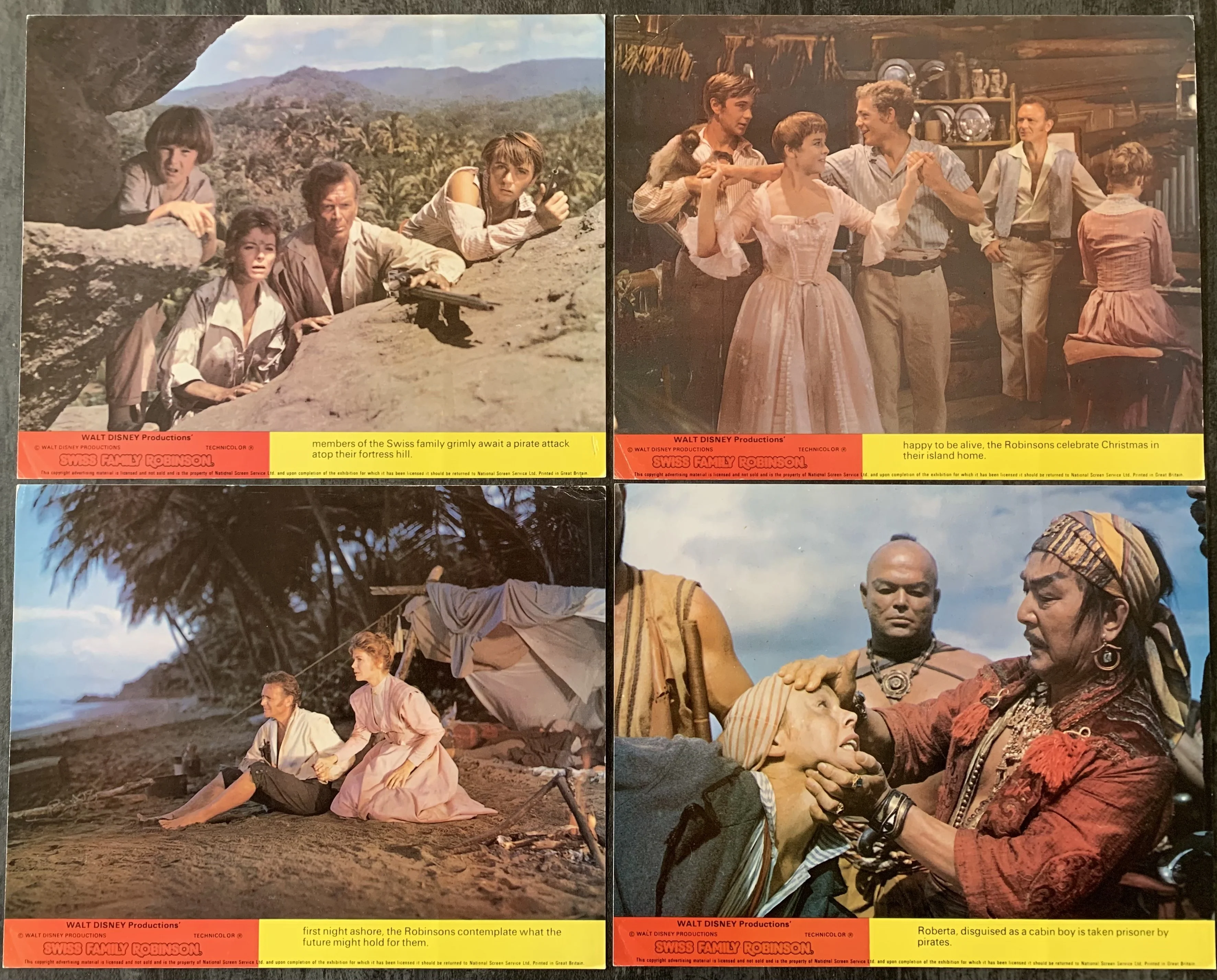 Swiss Family Robinson - Image 2