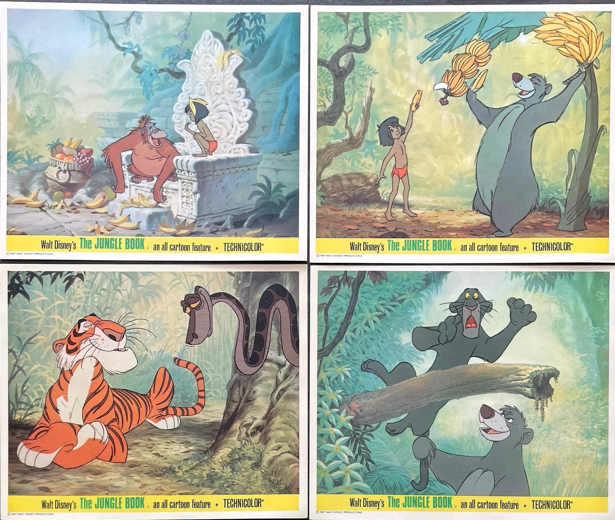 The Jungle Book (UK Front of House Set of 8 Stills) - Image 2